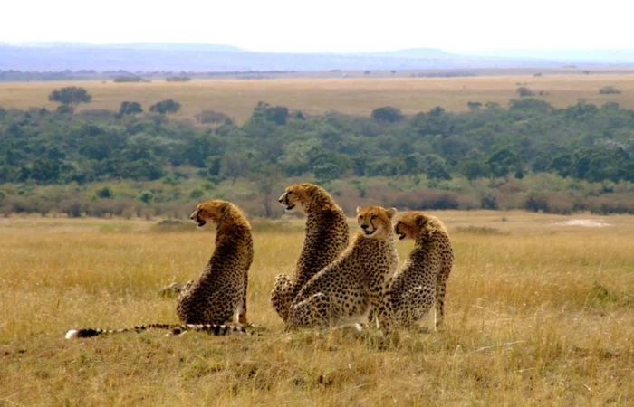 amboseli national park