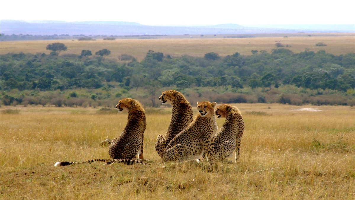 amboseli national park
