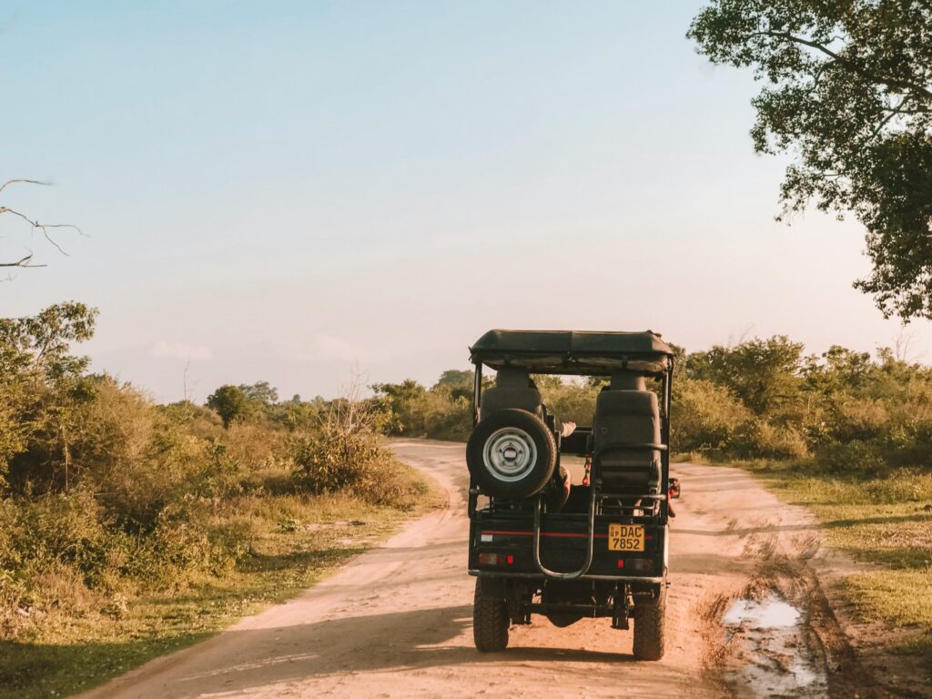 Cherish Africa Safaris 4x4 safari vehicle on a game drive track