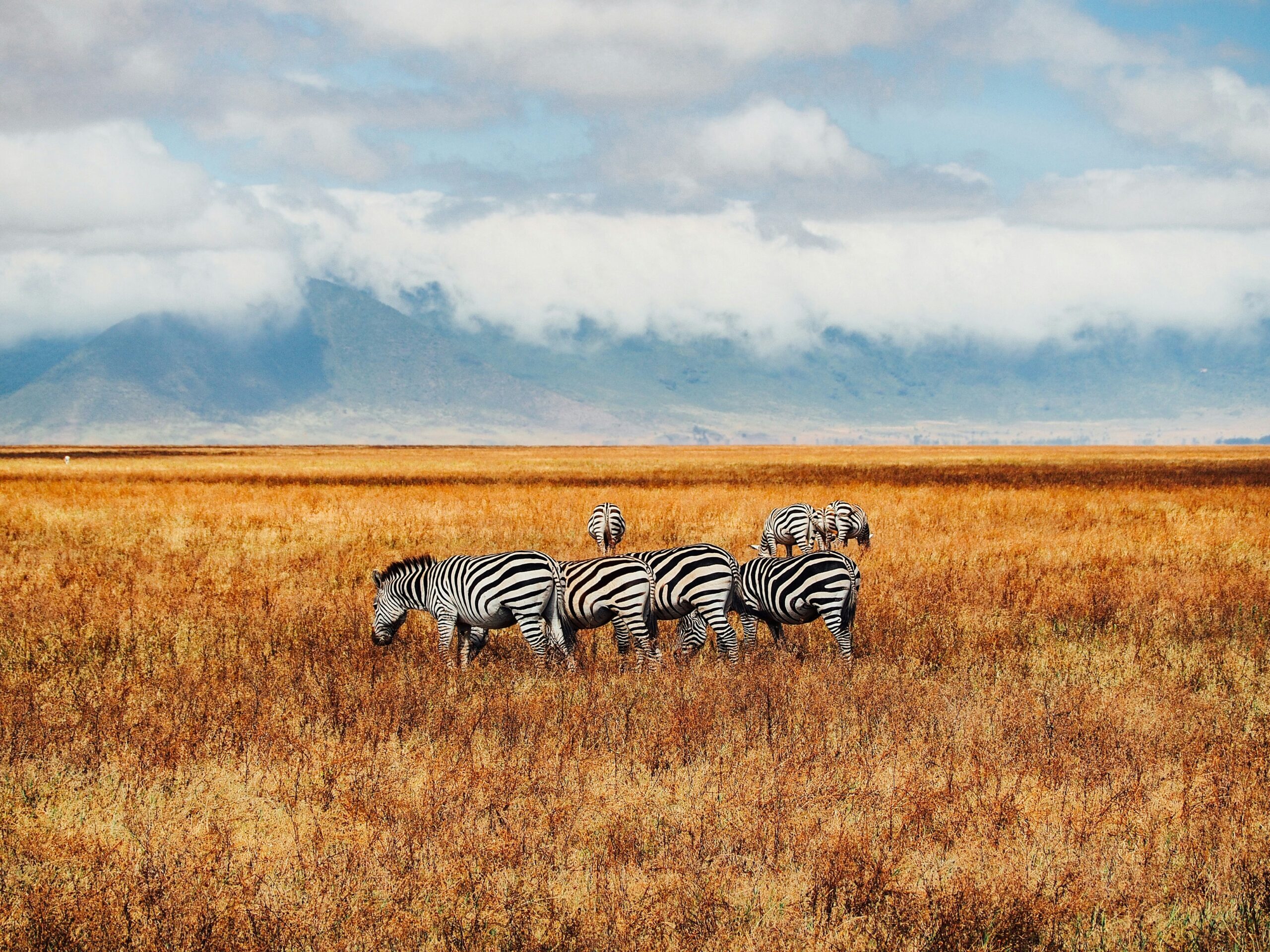 14 Days Exploring Kenya Safari