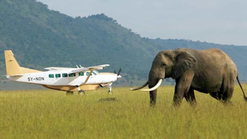 8 Days Tsavo Bush & Diani Beach Safari: A Perfect Blend of Adventure and Relaxation