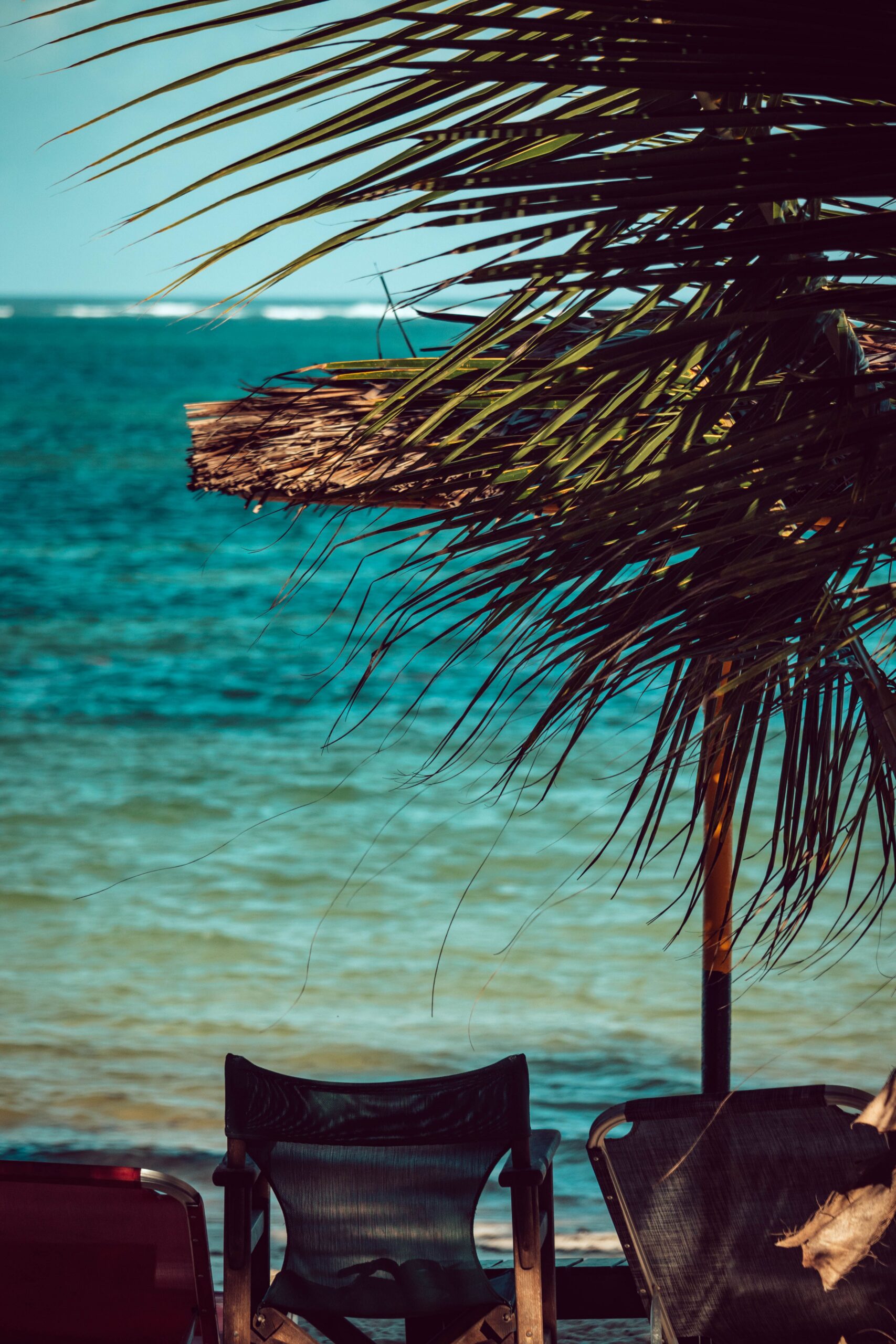10 Days Bush and Beach Safari Adventure