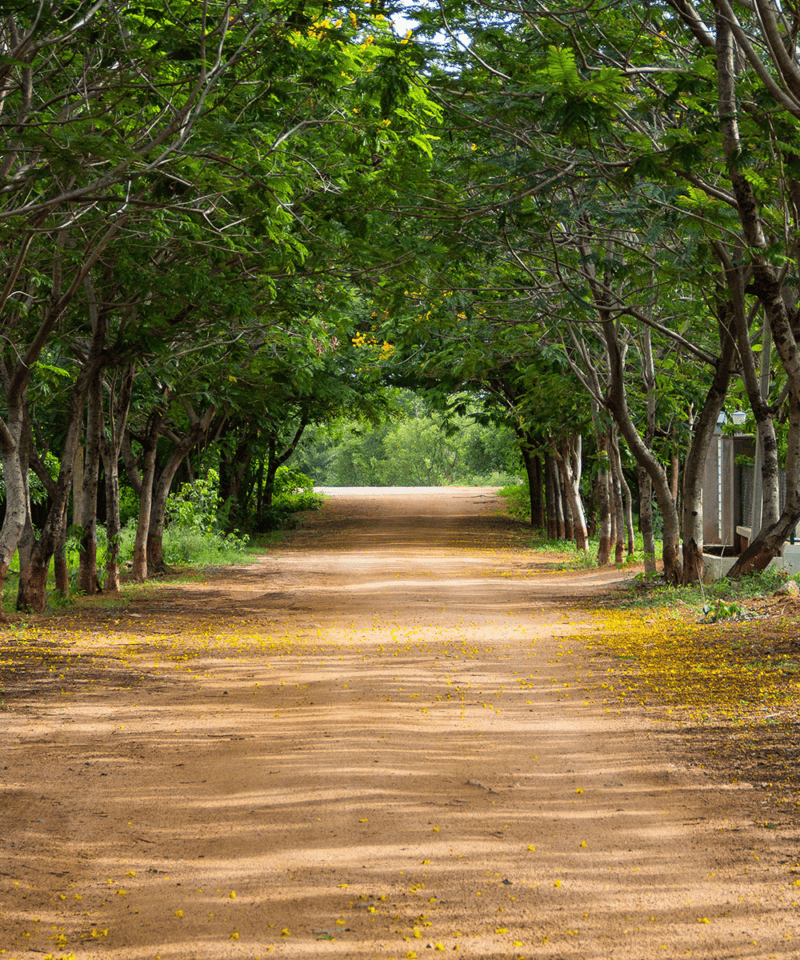 Explore Kenya's Cultural Tapestry: An 11-Day Budget Safari