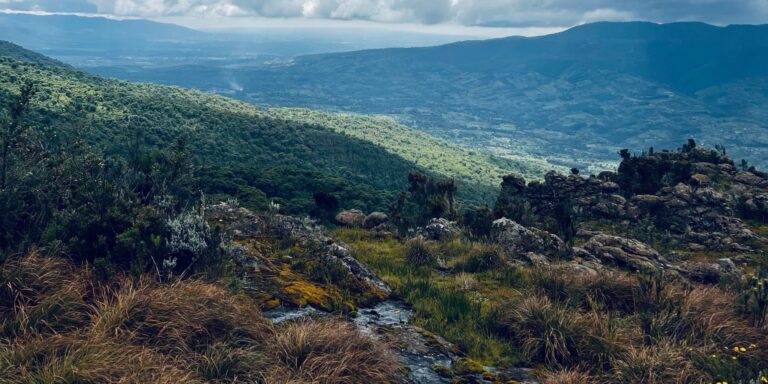 Aberdare National Park