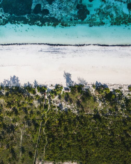 Pale open flats beside a line of green trees - Lamu Island