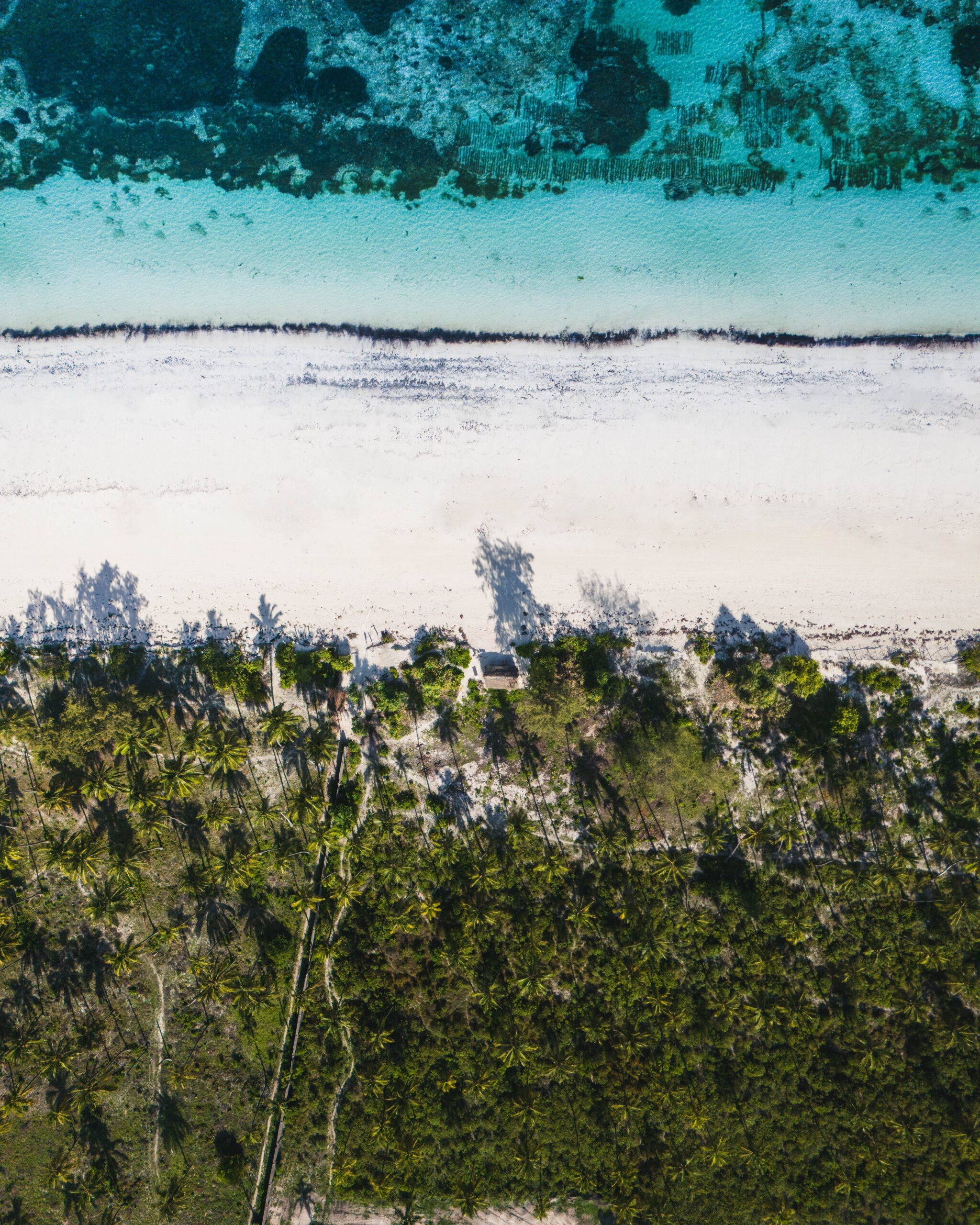 6 Days Bush & Beach Safari: The Best of Kenya’s Wilderness and Coastline