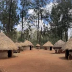 Traditional thatched homesteads at Bomas of Kenya in Nairobi