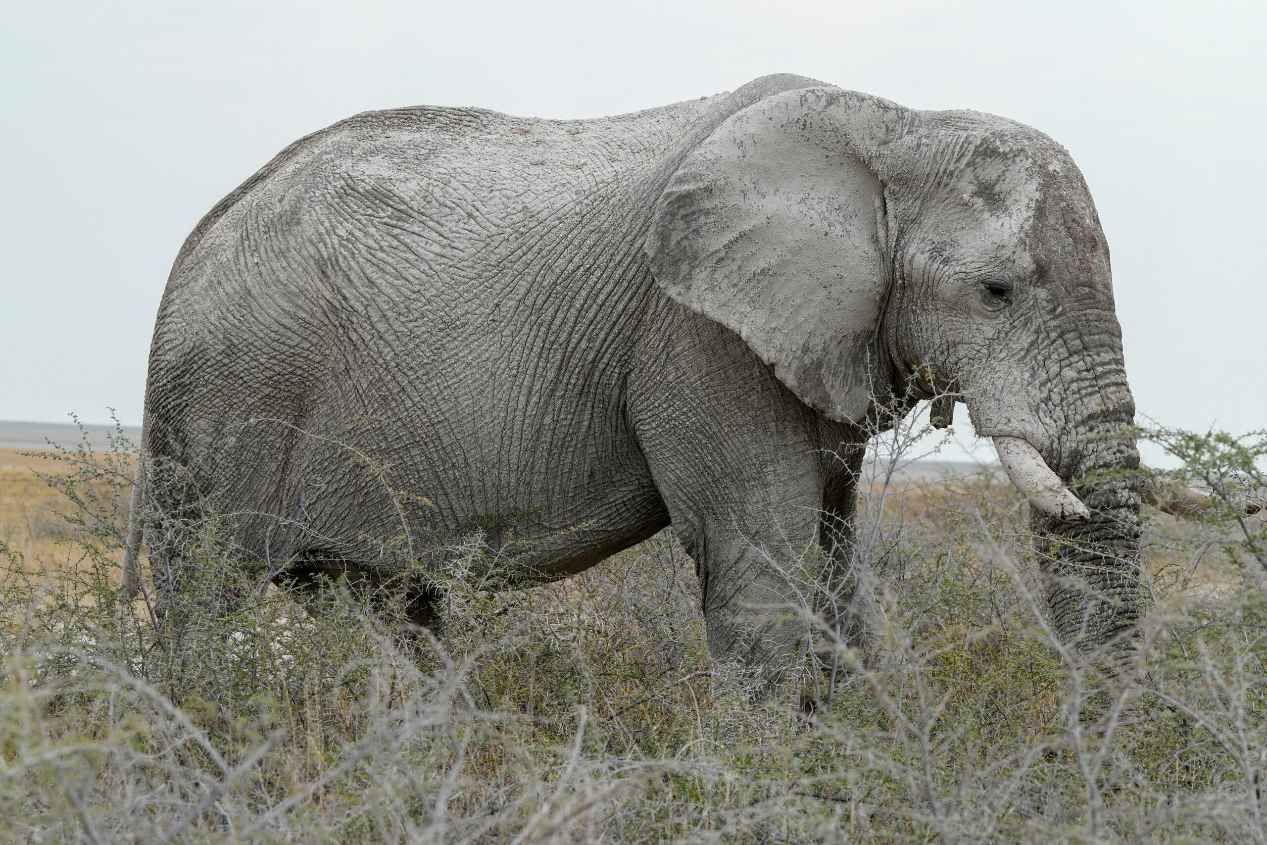 14 Days Safari: Kenya’s Most Iconic Wildlife Reserves & Scenery