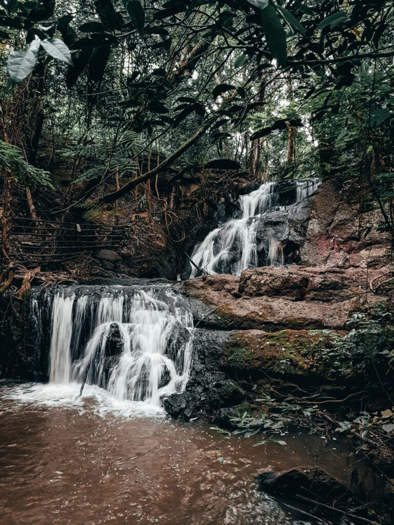 Karura Forest: The Nairobi Walk Most Visitors Never Hear About
