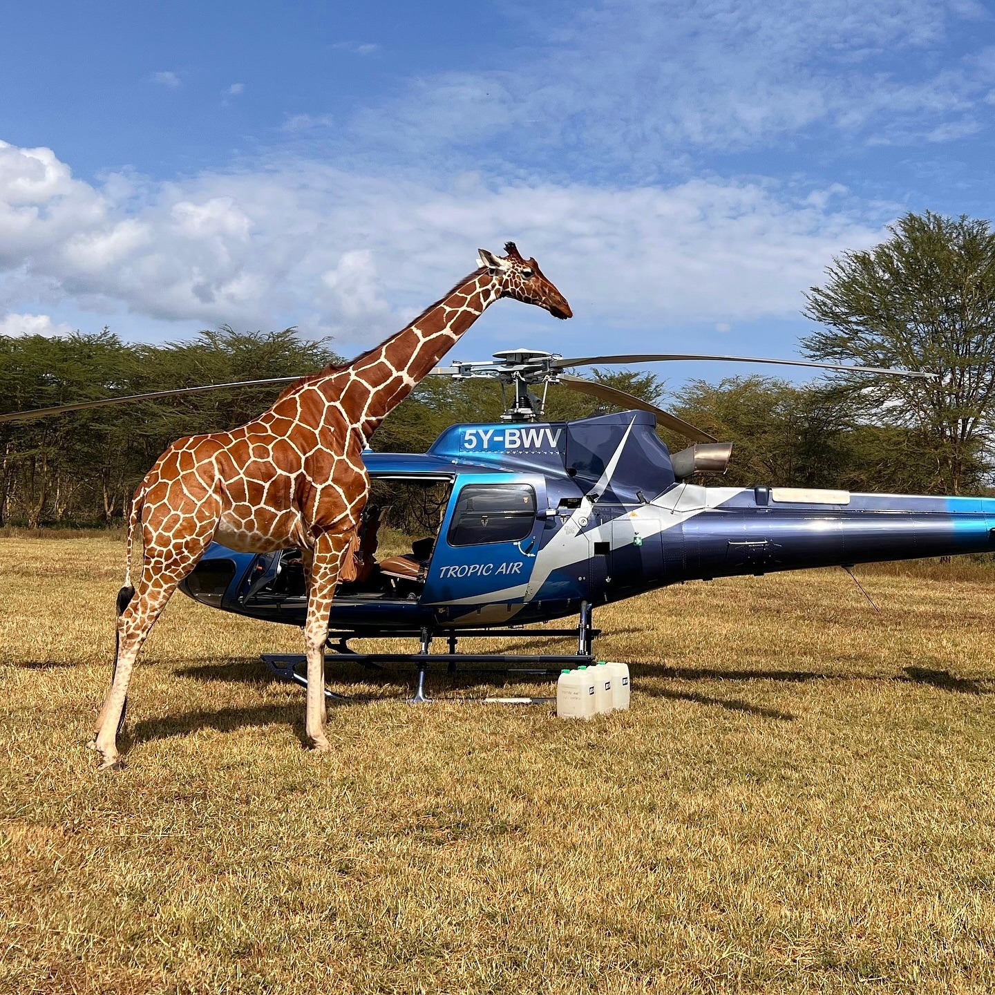 Luxury Kenya Flying Safari & Watamu Beach Holiday