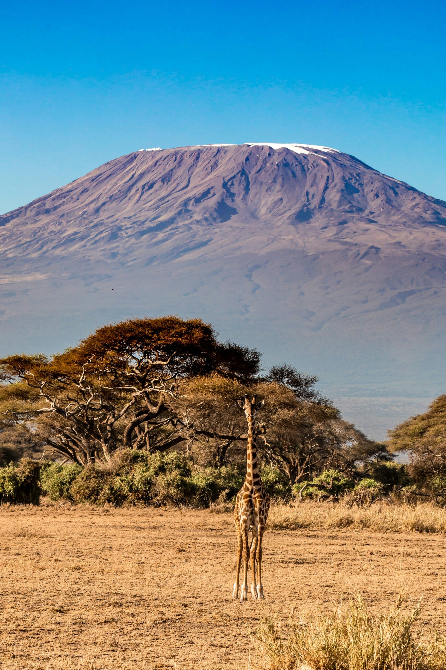 10 Days of Kenya and Tanzania Mid Range Safari