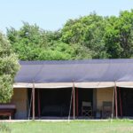 Permanent safari tent set among trees on a Kenyan camping safari