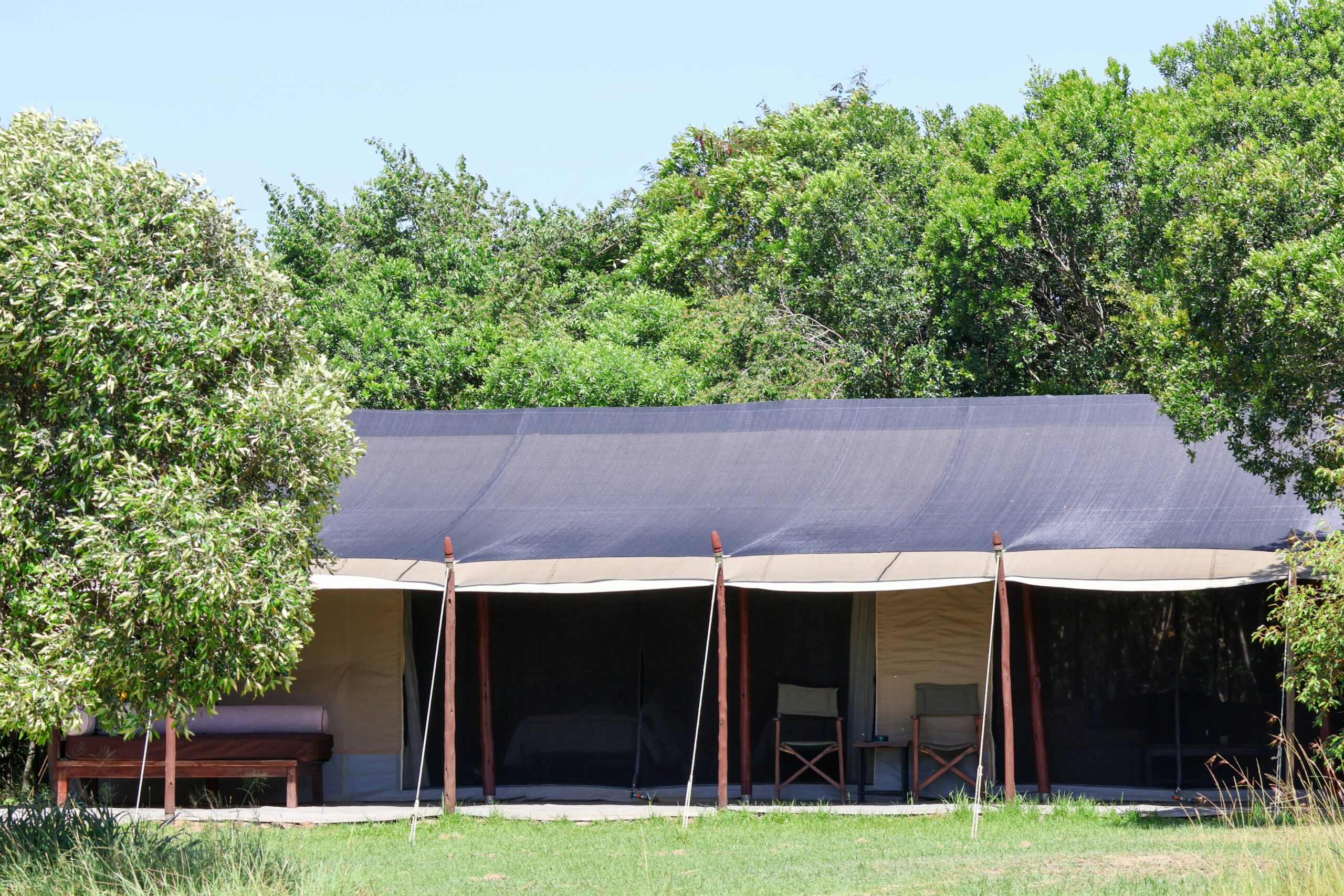 Permanent safari tent set among trees on a Kenyan camping safari