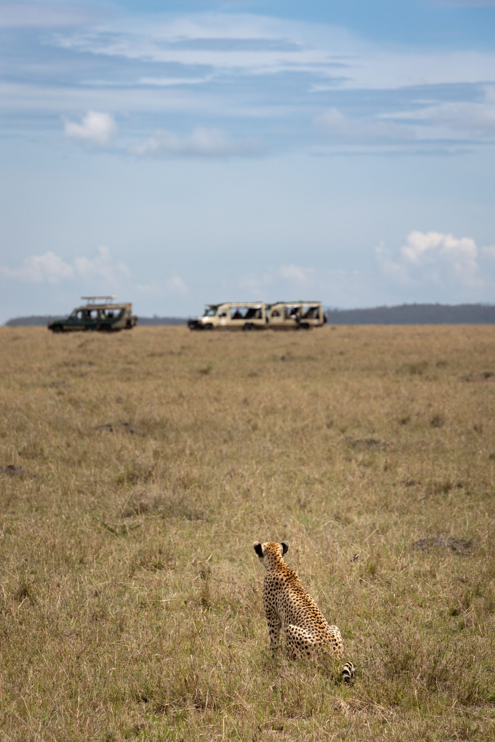 7 Days Masai Mara & Diani Flying Package: Safari & Beach Getaway