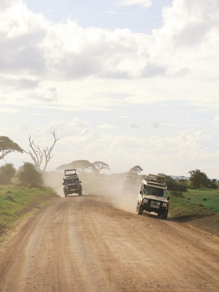 Safari vehicles on a dusty track in the savannah