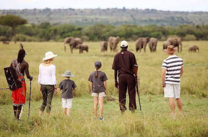 Kenya Safari With Kids: A Real Parent's Planning Guide 2