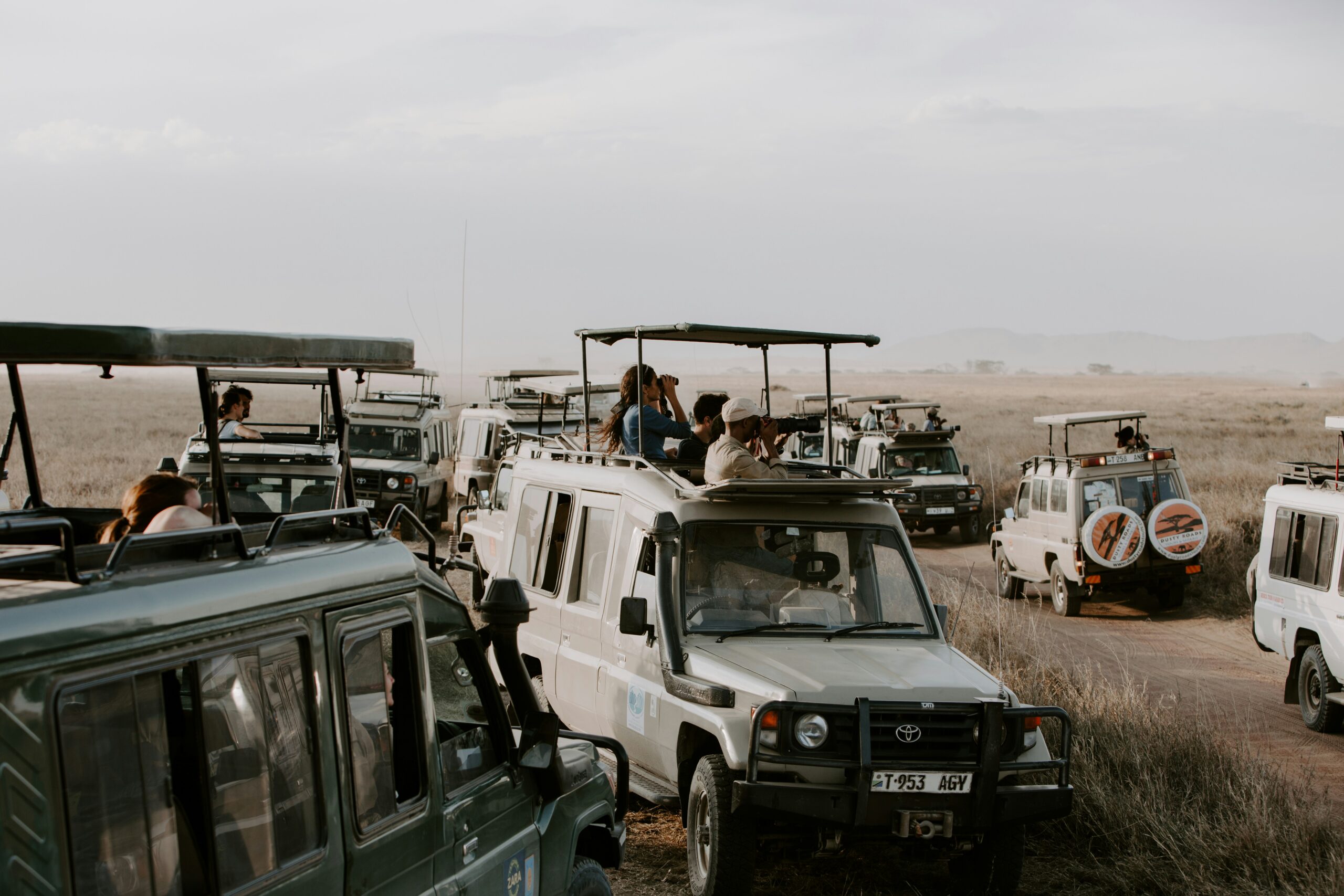Accessible Safaris: What Travelers With Disabilities Should Know 1 fdfdjdsds