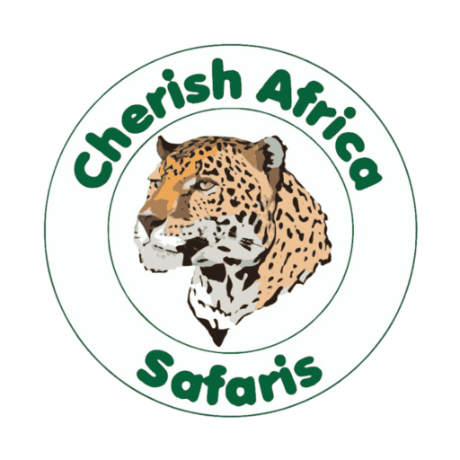 default-logo