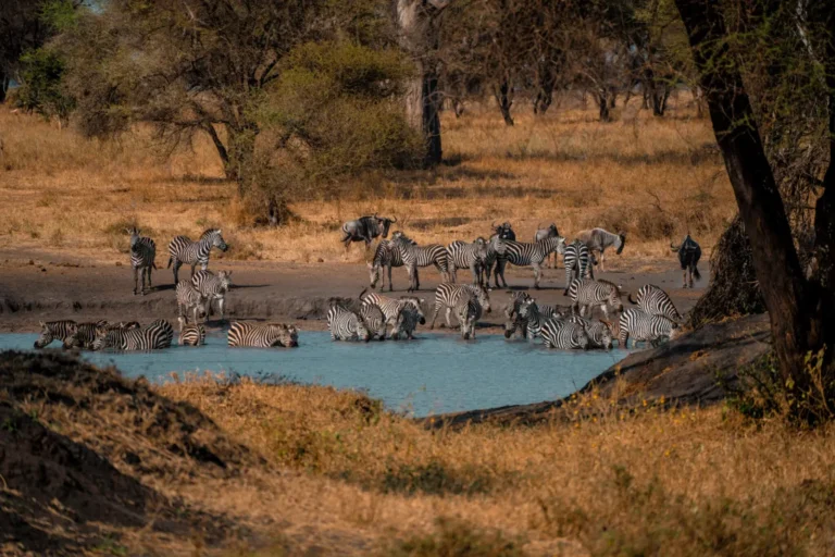 Tsavo East National Park