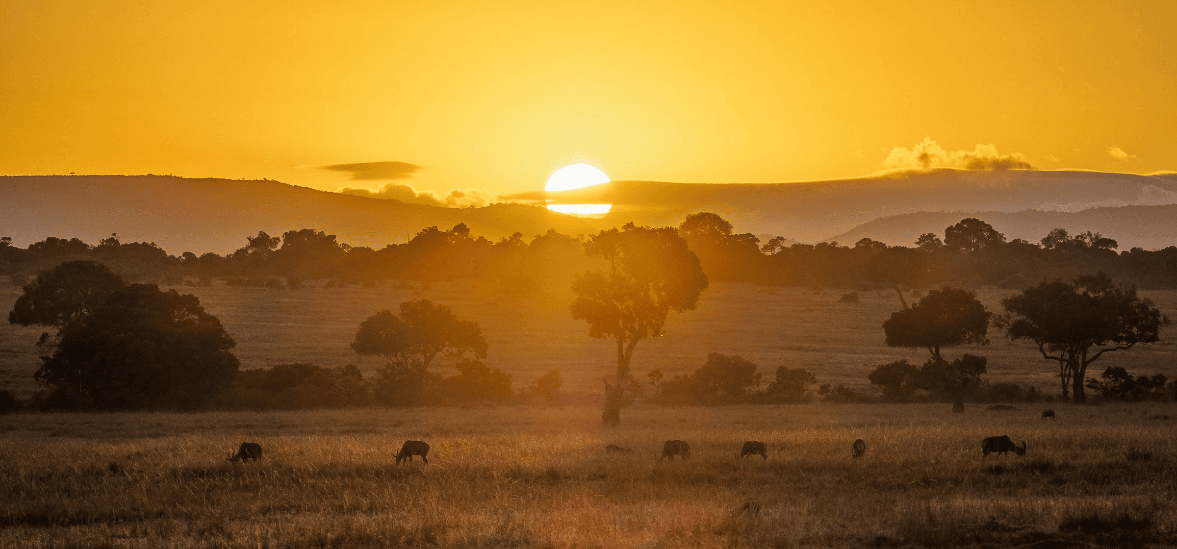 11 Days Majestic Safari: Ol Pejeta, Maasai & Nairobi’s Rich Culture